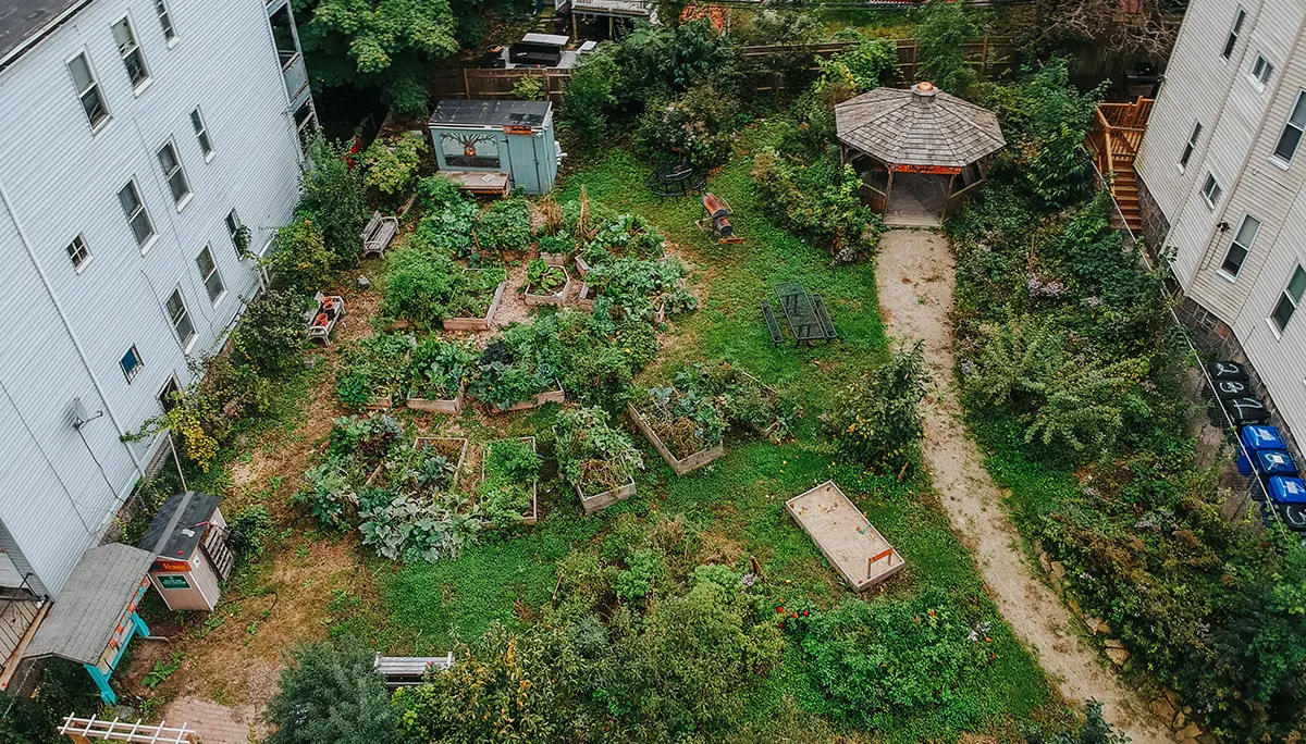 Climate Resilience in Boston