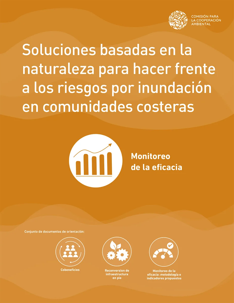 Monitoreo de la eficacia