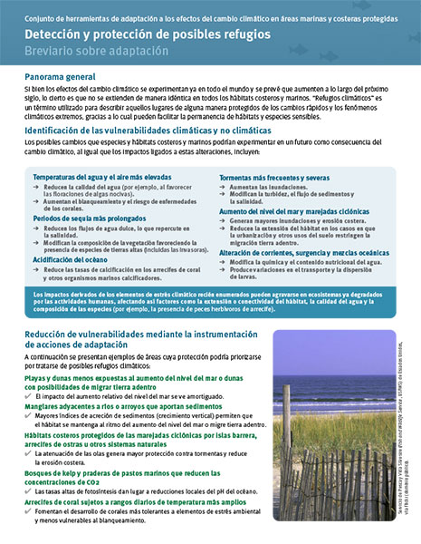 CEC Publication Cover